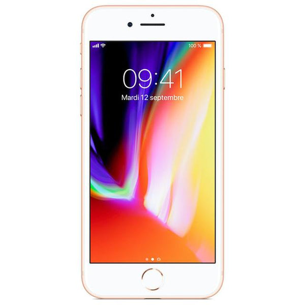 iPhone 8 da 256GB